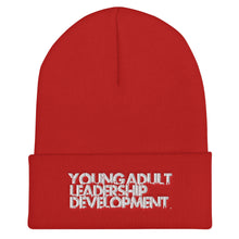 Load image into Gallery viewer, Original YALD Beanie
